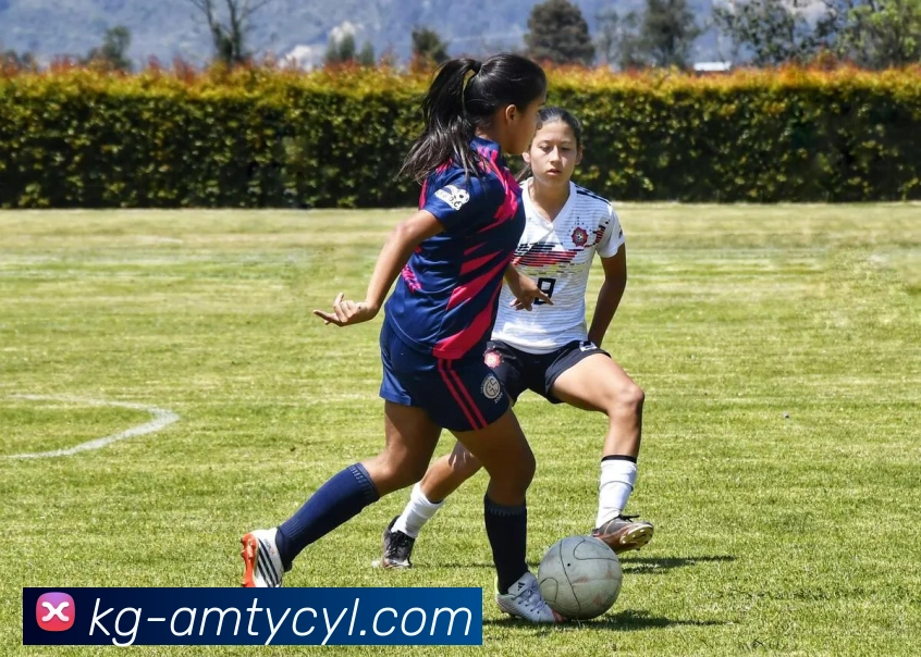 太阳城娱乐品牌故事