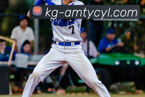 太阳城娱乐服务体系